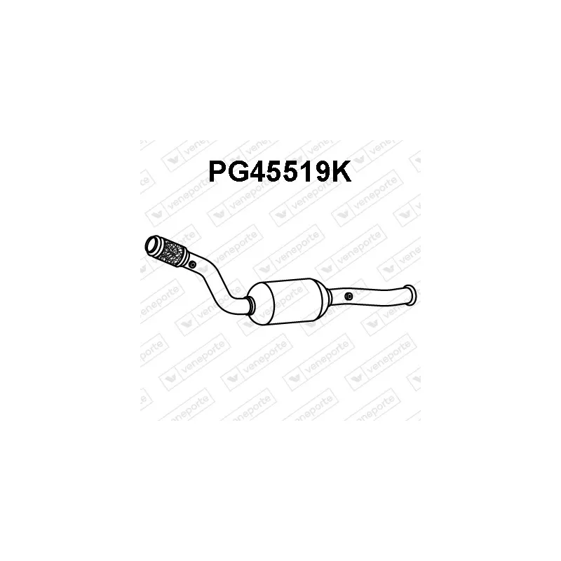 Catalyseur VENEPORTE PG45519K
