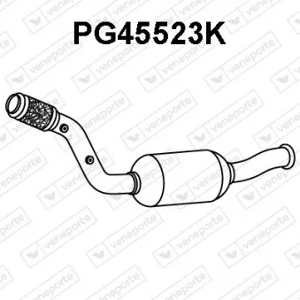 Catalyseur VENEPORTE PG45523K