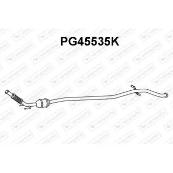 Catalyseur VENEPORTE PG45535K