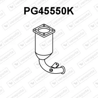 Catalyseur VENEPORTE PG45550K
