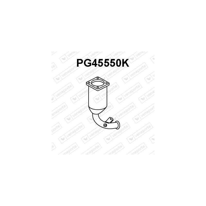 Catalyseur VENEPORTE PG45550K