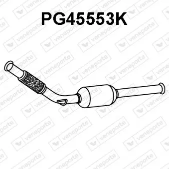 Catalyseur VENEPORTE PG45553K