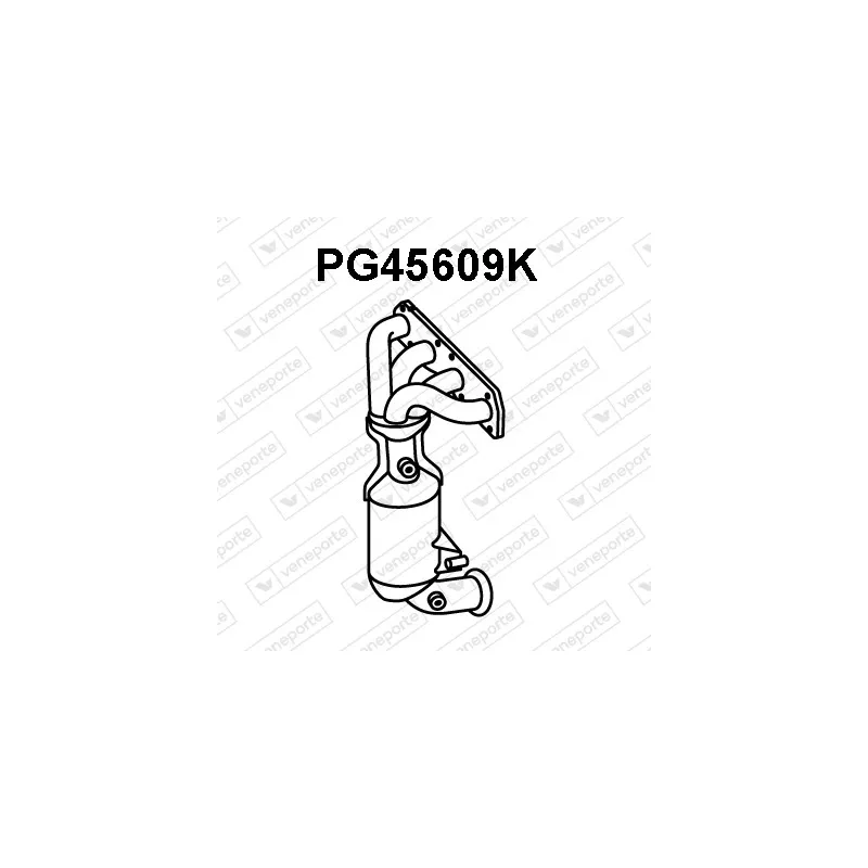 Catalyseur en coude VENEPORTE PG45609K