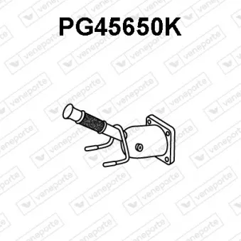 Catalyseur VENEPORTE PG45650K