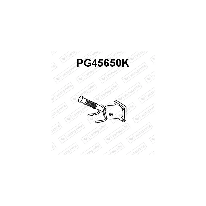 Catalyseur VENEPORTE PG45650K