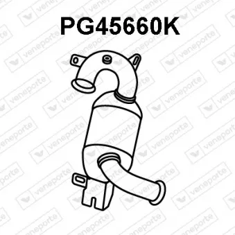Catalyseur VENEPORTE PG45660K