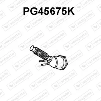 Catalyseur VENEPORTE PG45675K