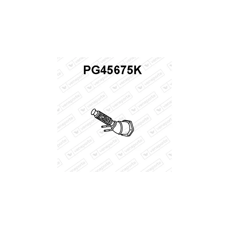 Catalyseur VENEPORTE PG45675K