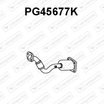 Catalyseur VENEPORTE PG45677K