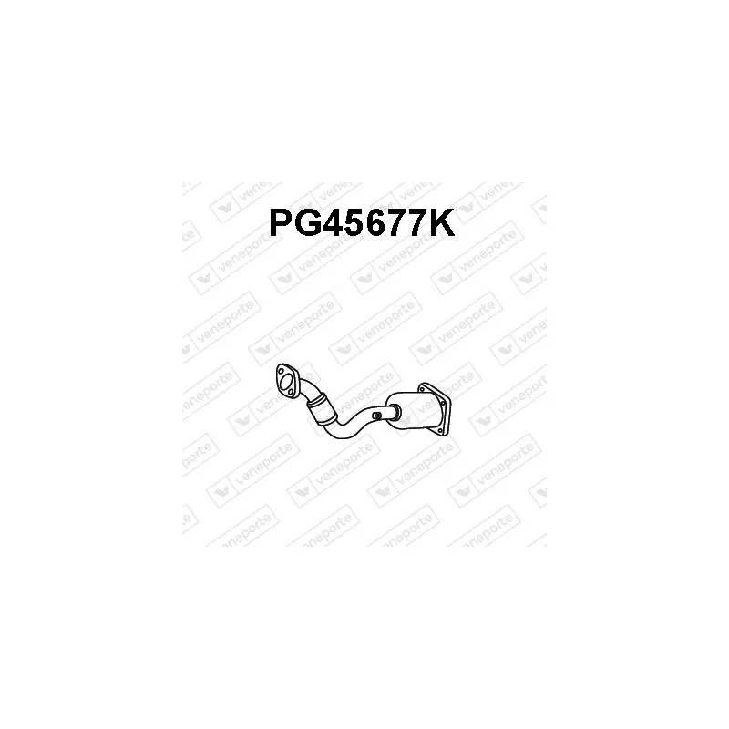 Catalyseur VENEPORTE PG45677K