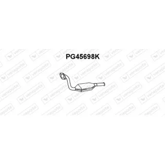 Catalyseur VENEPORTE PG45698K