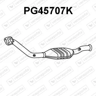 Catalyseur VENEPORTE PG45707K