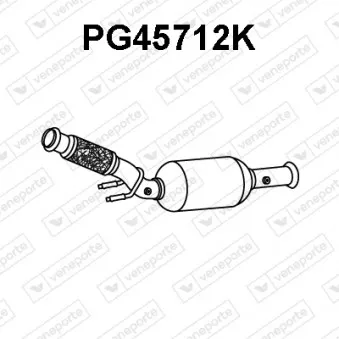 Catalyseur VENEPORTE PG45712K