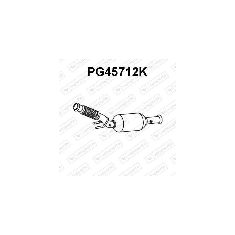 Catalyseur VENEPORTE PG45712K
