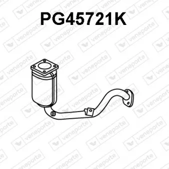 Catalyseur VENEPORTE PG45721K
