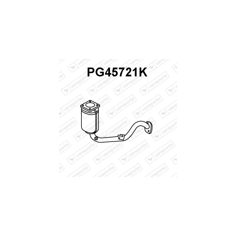 Catalyseur VENEPORTE PG45721K