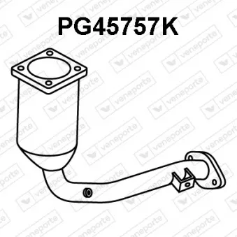 Catalyseur VENEPORTE PG45757K