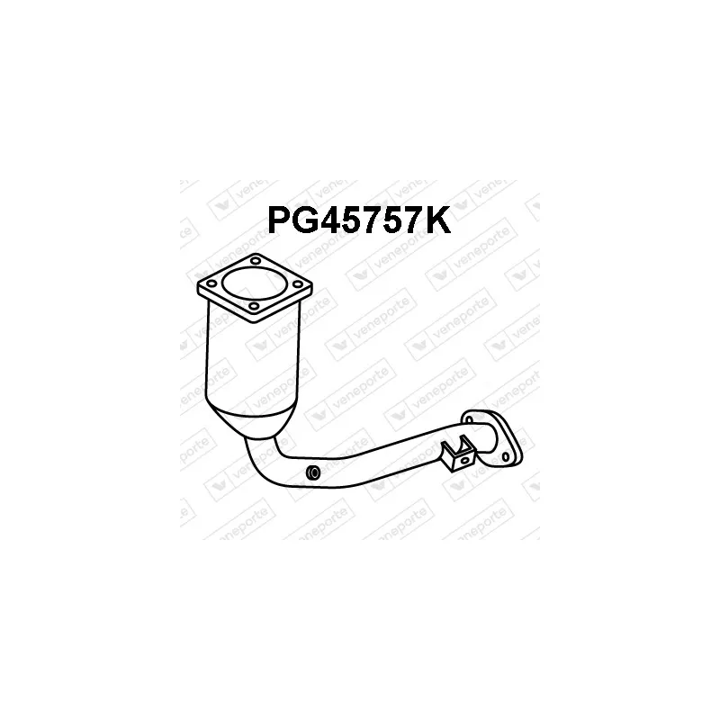 Catalyseur VENEPORTE PG45757K