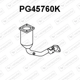 Catalyseur VENEPORTE PG45760K