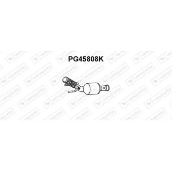 Catalyseur VENEPORTE PG45808K