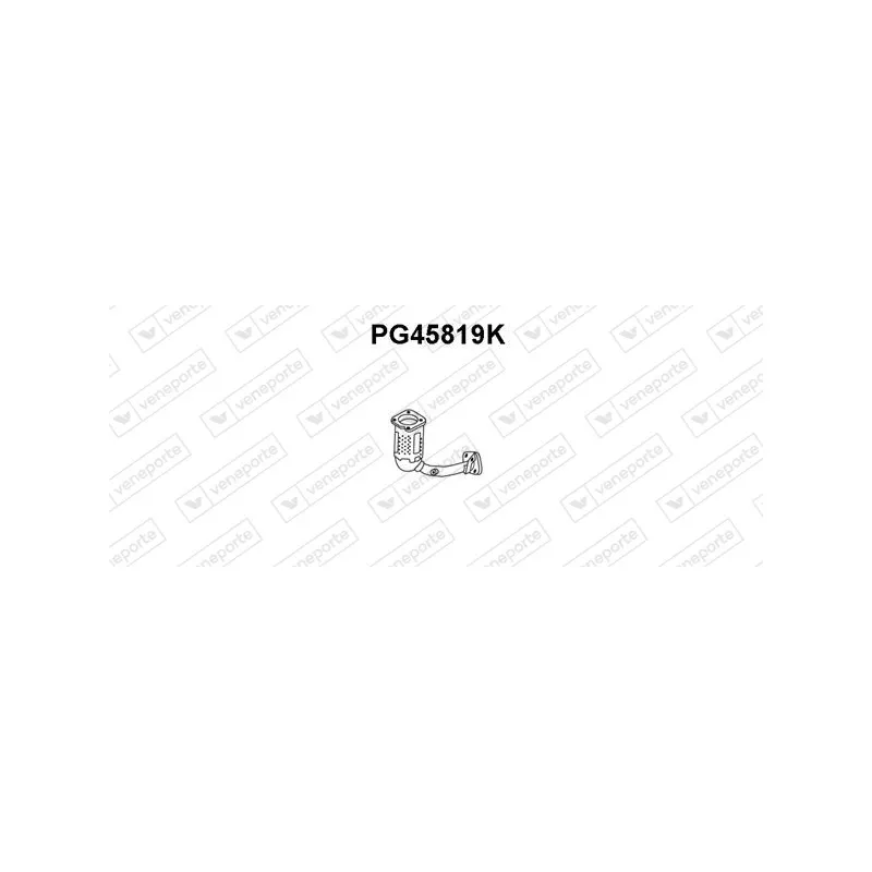 Catalyseur VENEPORTE PG45819K