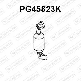 Catalyseur VENEPORTE PG45823K