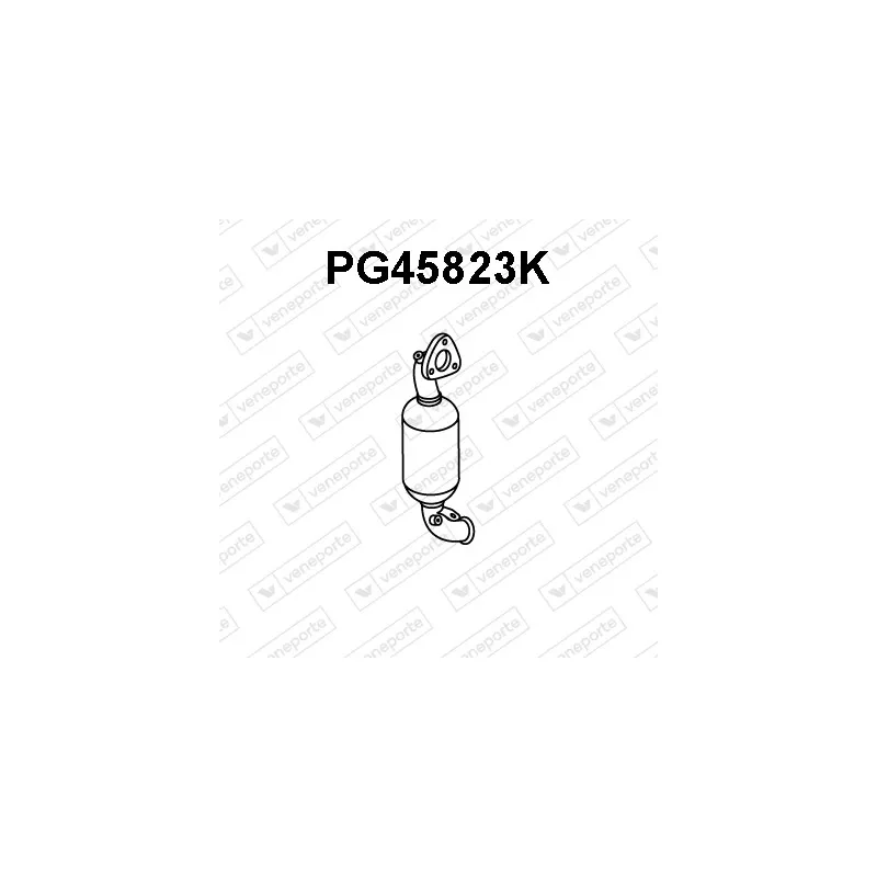 Catalyseur VENEPORTE PG45823K