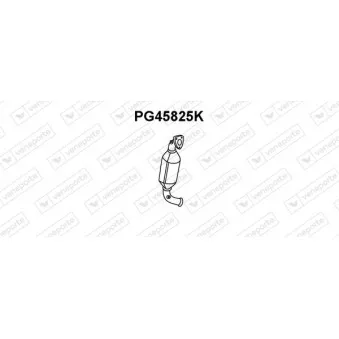 Catalyseur VENEPORTE PG45825K