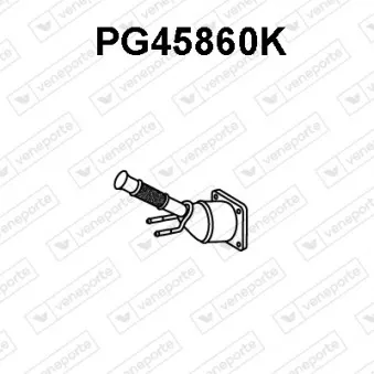 Catalyseur VENEPORTE PG45860K