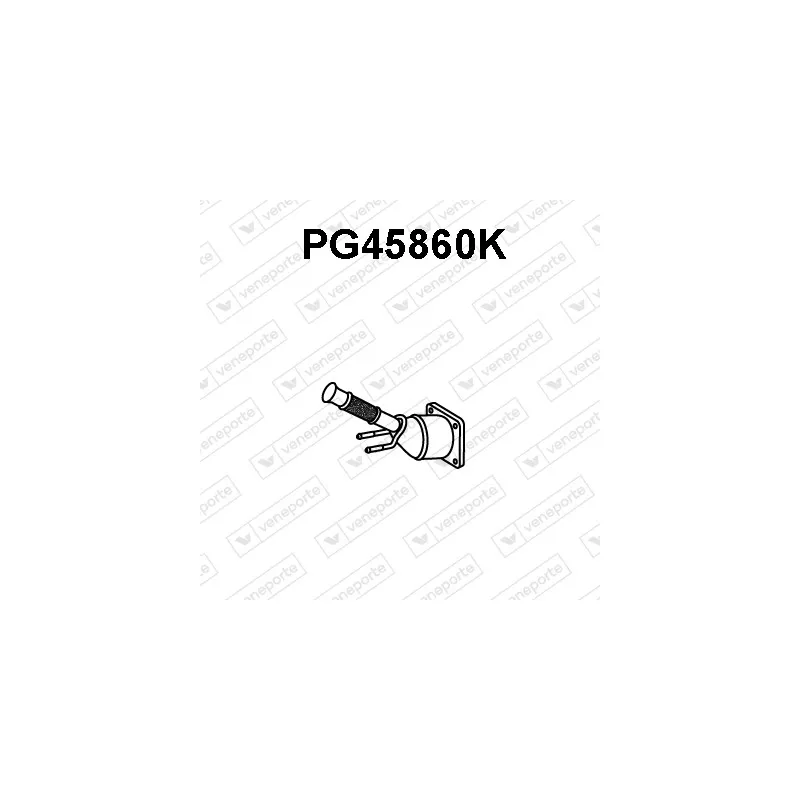 Catalyseur VENEPORTE PG45860K