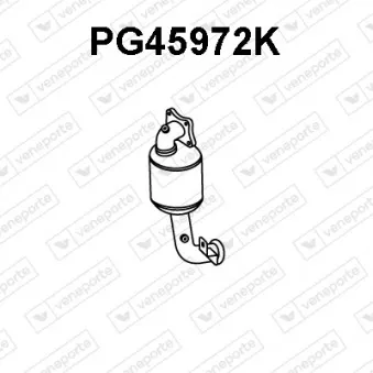 Catalyseur VENEPORTE PG45972K
