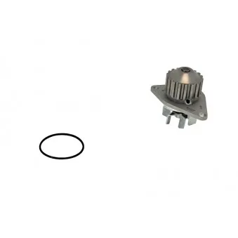 Pompe à eau KLAXCAR FRANCE 42029z