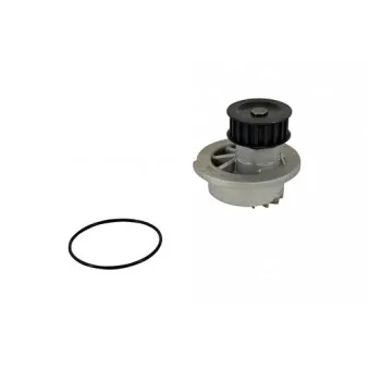 Pompe à eau KLAXCAR FRANCE 42042z