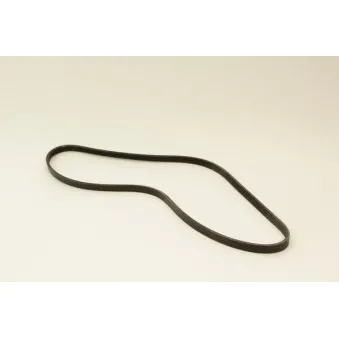 Courroie trapézoïdale à nervures KLAXCAR FRANCE 4PK1263