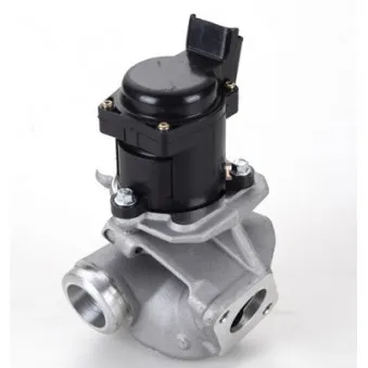 Vanne EGR KLAXCAR FRANCE 50003z