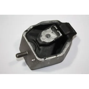 Suspension, boîte automatique AUTOMEGA 130032810