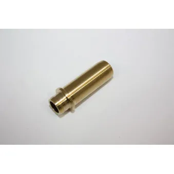 Guide de soupape AUTOMEGA 130036210