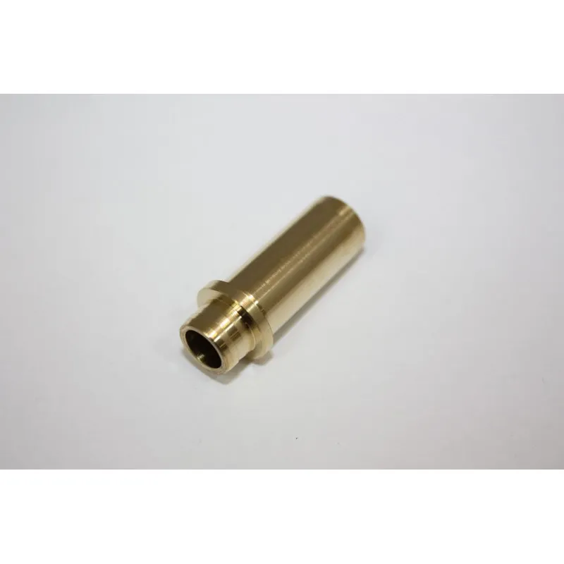 Guide de soupape AUTOMEGA 130036310