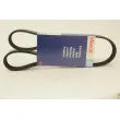 Courroie trapézoïdale à nervures KLAXCAR FRANCE 6PK1165 - Visuel 2