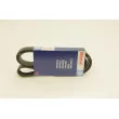 Courroie trapézoïdale à nervures KLAXCAR FRANCE 6PK1450 - Visuel 2