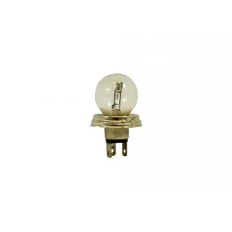 Ampoule, projecteur longue portée KLAXCAR FRANCE 86250z