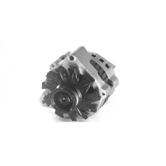 Alternateur DA SILVA 050005