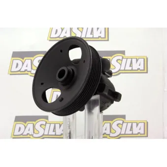 Pompe hydraulique, direction DA SILVA DP2022