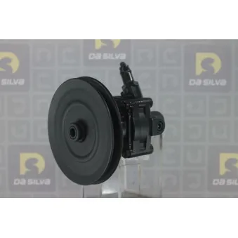 Pompe hydraulique, direction DA SILVA DP2058