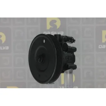 Pompe hydraulique, direction DA SILVA DP2135