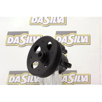Pompe hydraulique, direction DA SILVA DP2174
