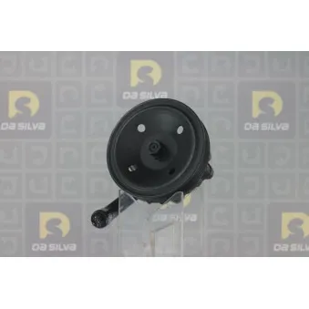 Pompe hydraulique, direction DA SILVA DP2310