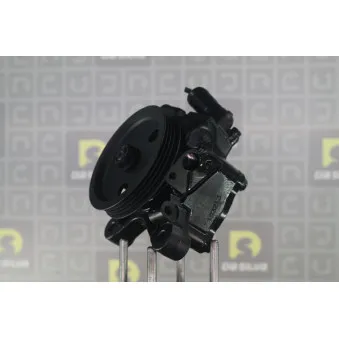 Pompe hydraulique, direction DA SILVA DP2313