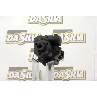 Pompe hydraulique, direction DA SILVA DP2333