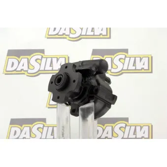 Pompe hydraulique, direction DA SILVA DP2348